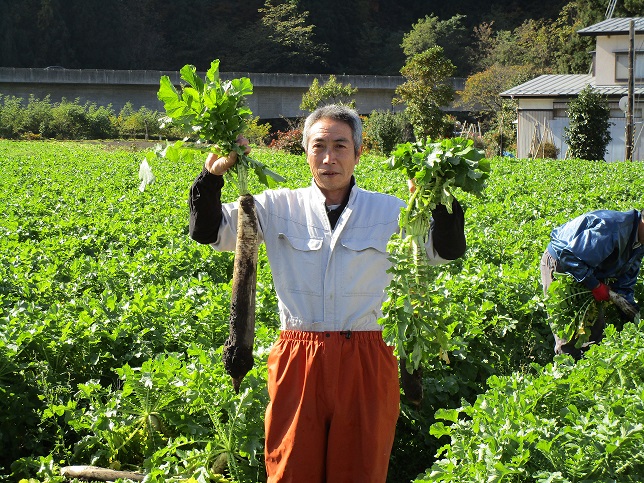 佐藤健一